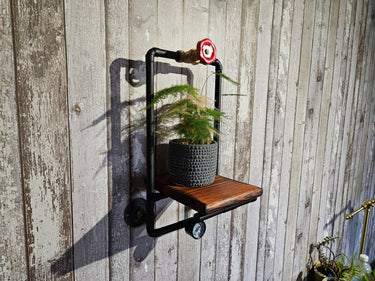 Steampunk industrial pipe wall shelf with wooden base and potted plant against rustic wood panel wall