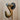 Industrial steampunk metal hook wall hanger on light wood panel