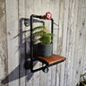 Steampunk industrial pipe wall shelf with wooden base and potted plant against rustic wood panel wall