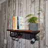 Steampunk industrial wooden wall shelf with books and potted plant on rustic wood wall.