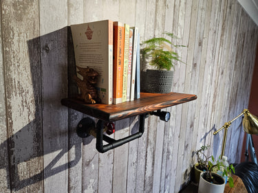 Industrial wall shelf with dark wood, black pipe brackets, books, and a potted plant