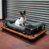 Steampunk industrial dog bed with metal pipe frame, wooden base, and grey cushion, dog seated